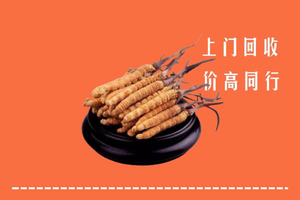 高价求购：眉山市彭山回收散虫草